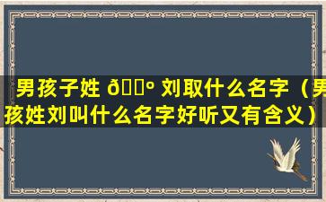 男孩子姓 🌺 刘取什么名字（男孩姓刘叫什么名字好听又有含义）